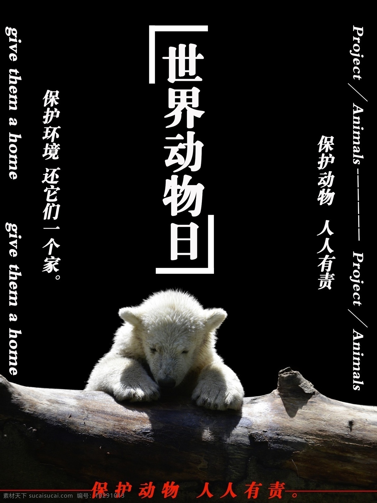 简约 世界 动物 日 海报 保护 北极熊 环境 生活 可怜