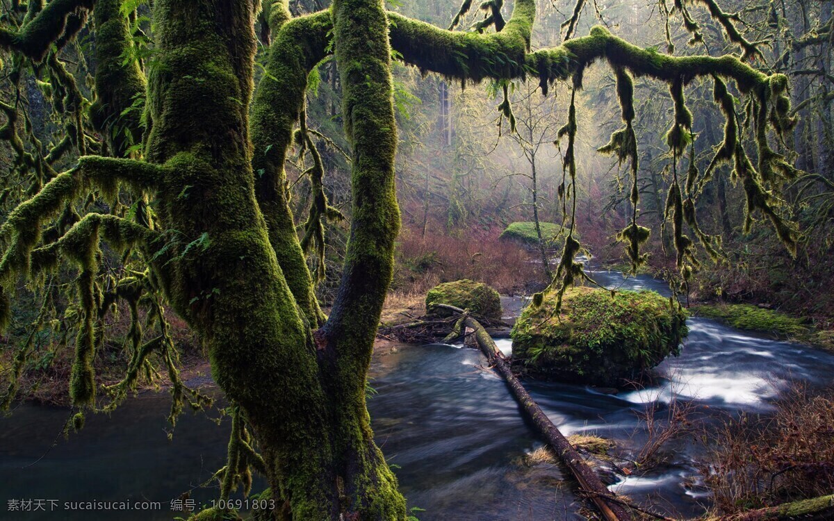 美国 俄勒冈州 自然风景