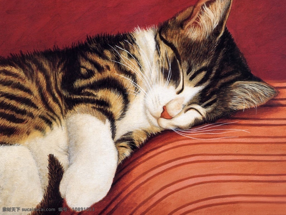 猫咪 宠物 手绘画64猫 手绘画 设计素材 家禽家畜 动物插图 书画美术 黑色
