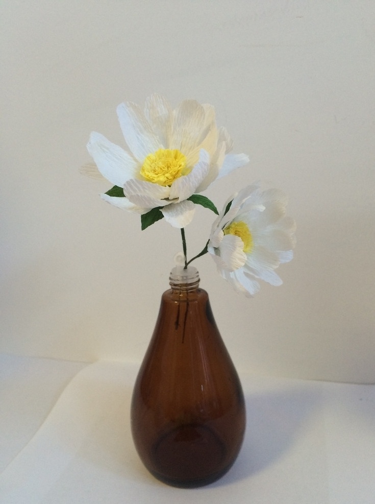 雏菊 菊花 小花儿 手工花 花瓶 插花 纸艺 花朵 两朵花 花心 花蕊 淡雅的花 小朵花 一朵花 涂鸦 花朵涂鸦 生活百科 家居生活