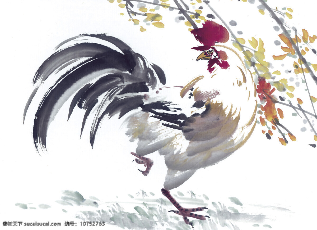 鸡 写意花鸟 国画0238 国画 设计素材 花鸟画篇 中国画篇 书画美术 白色
