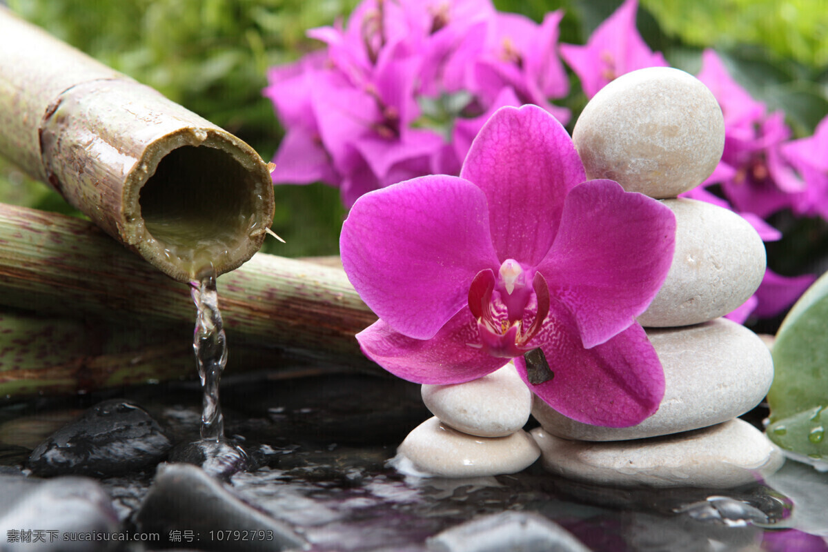 鲜花 石头 水流 花朵 鹅卵石 spa 水疗 美容 养生 生活用品 生活百科