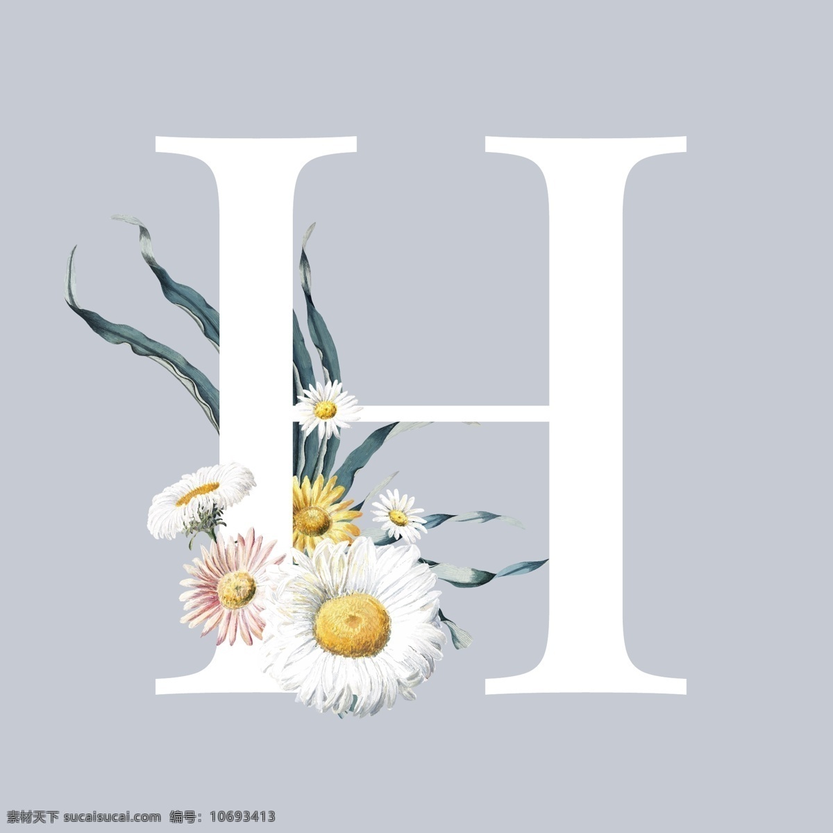 字母与花朵 字母 艺术品 美丽 盛开 开花 书法 养殖 雏菊 装饰 植物群 花 新鲜 金 金色 手绘 图标 花背景