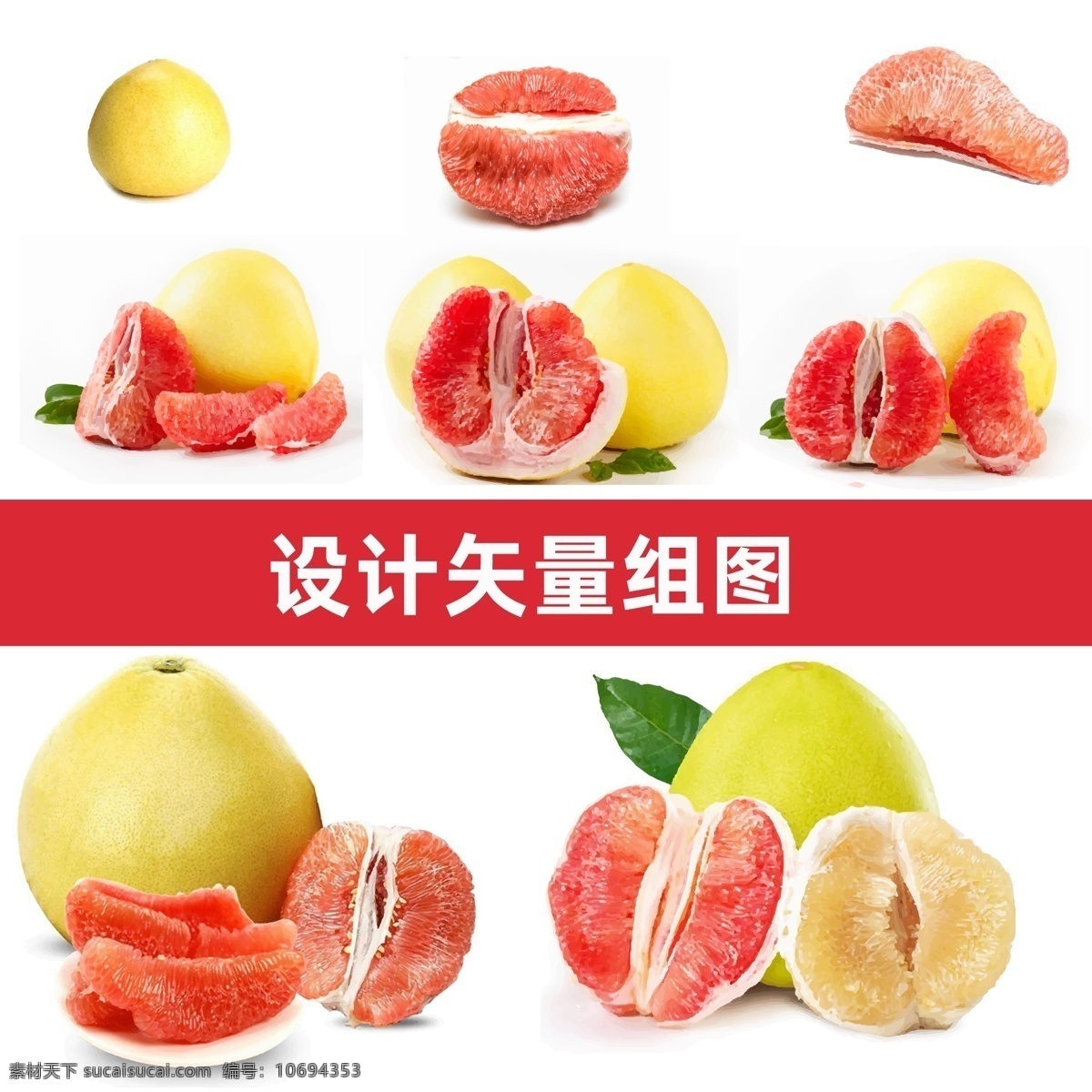 红心柚 红心柚矢量 柚子矢量 水果高清素材 水果矢量 水果 分层