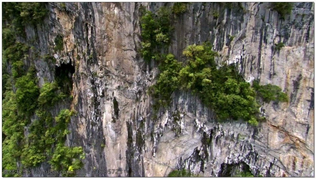 山脉 动态 视频 森林 树木 悬崖 视频素材 动态视频素材