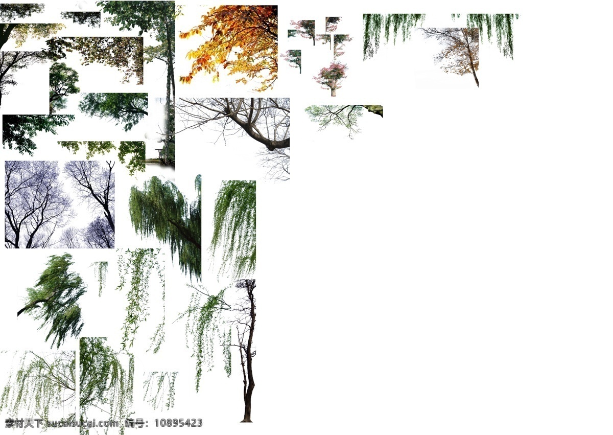 前景树素材 前景树 效果图 效果图素材 园林 景观 园林效果图 景观效果图 设计素材 环境设计 景观设计
