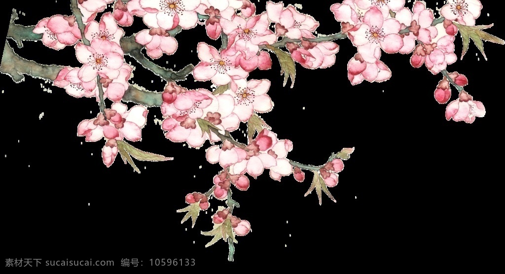 花边 手绘花 手绘画 粉色花 月季花 花儿 珠宝 渐变 花 鲜花 水彩花 花朵 复古花 水墨花 水彩 水墨 定位花 山水画 名片 平面 图案 封面 背景 数码印花 花海 花纹 婚礼素材 婚礼 结婚 春天 春天素材 夏天 花素材 花纹背景 粉色 浪漫 唯美 爱 爱情 婚礼设计 创意花素材 包装设计