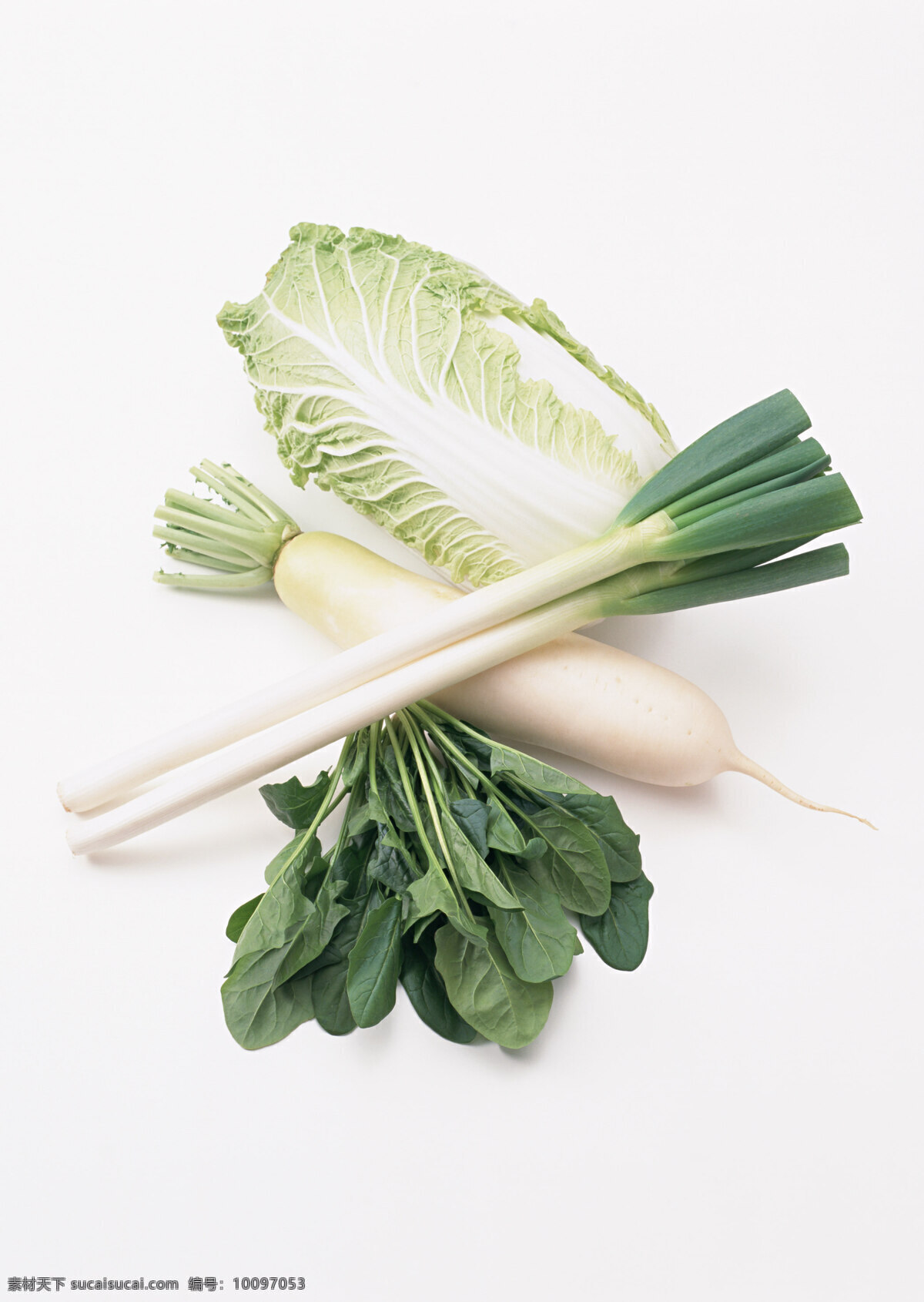 白菜 萝卜 大蒜 菠菜 蔬菜 白萝卜 生物世界