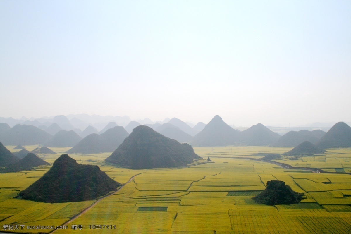 中国的水稻田 中国 水稻田 南方 丘陵 黄色 好风光 农村 山水风景 自然景观