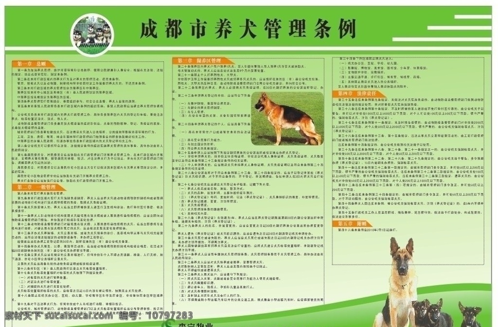 成都市 养 犬 管理条例 办法 养犬管理 宣传栏 禁养犬 养犬办法 其他设计 矢量