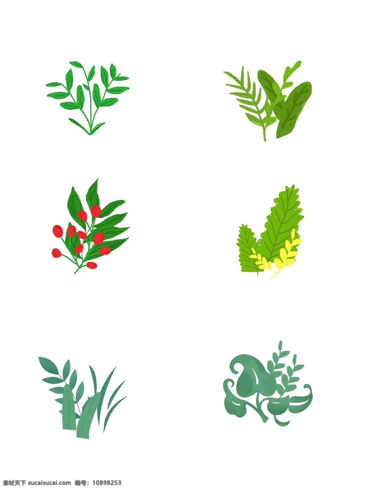 手绘 插画 各类 植物 树叶 草 绿色