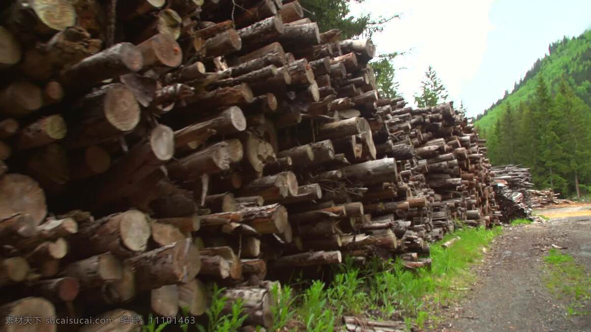 沿着 木桩 走 手持 拍摄 行业 自然 柴堆 木材 森林 林业 森林砍伐 森林管理 生态学 气候 气候变化 一堆 日志 贮木场 锯木厂 感觉 摔倒 树 松木 林地 伍兹 环境 环境的