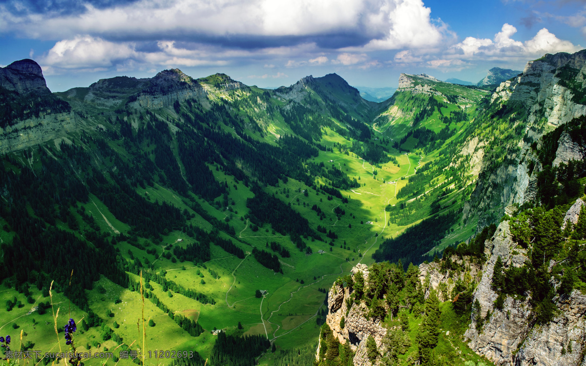 瑞士 瑞士风景 瑞士景观 风景 自然风景 高清风景 风光 自然风光 景观 自然景观 树木 草地 旅游摄影 国外旅游