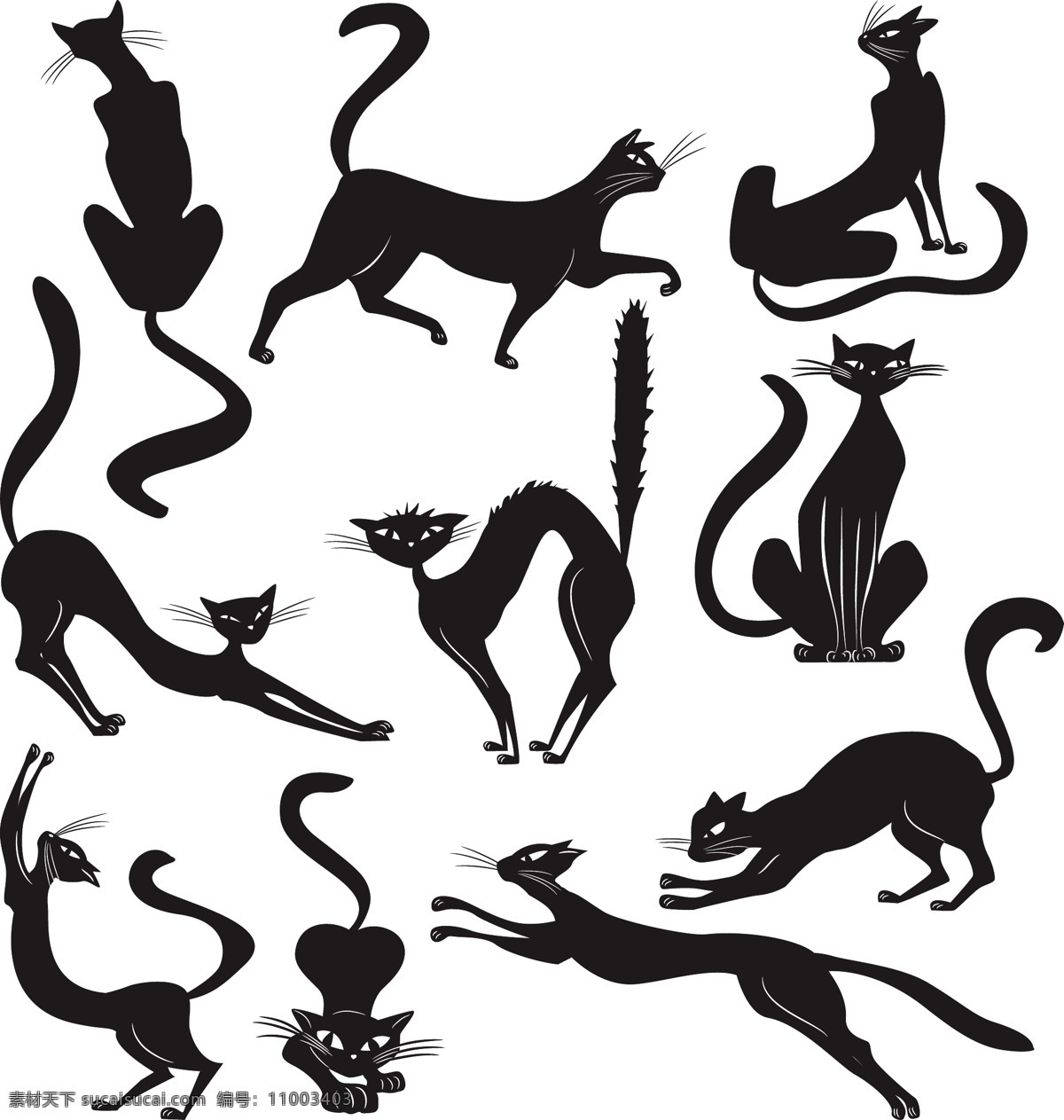 黑猫剪影 猫 剪影 平面 矢量图 生物世界 家禽家畜