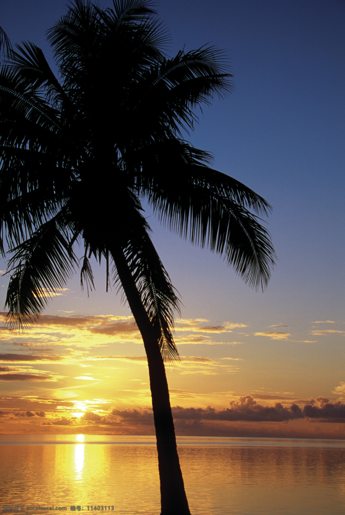 黄昏 时 海面 风光 美丽海滩 海边风景 太平洋 海岸风光 夕阳 沙滩 海滩 大海 海洋 海平面 椰子 椰树 旅游景点 海景 景色 美景 风景 摄影图 高清图片 海洋海边 自然景观 黑色