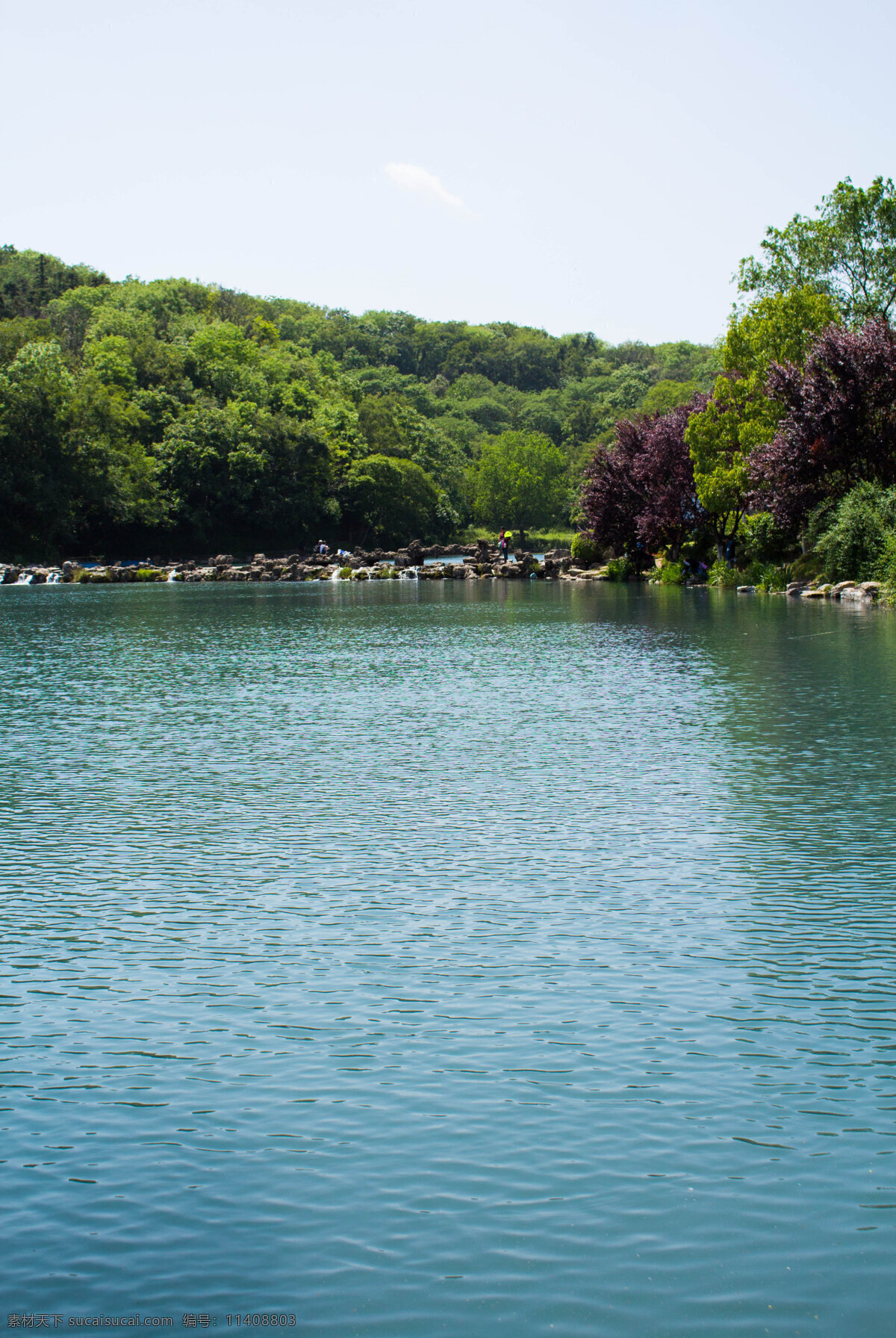 珍珠泉 湖水 植物 风景 风光 日常拍图 自然景观 自然风景