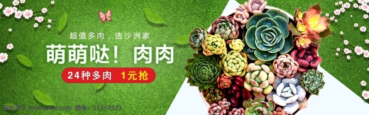 淘宝 肉 植物 海报 banner 电商 天猫 多肉植物