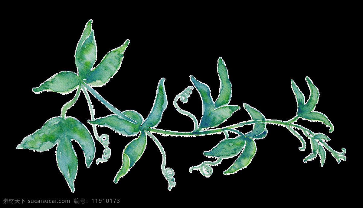 妖娆 枝叶 卡通 透明 装饰 树叶 绿色 透明素材 免扣素材 装饰图案
