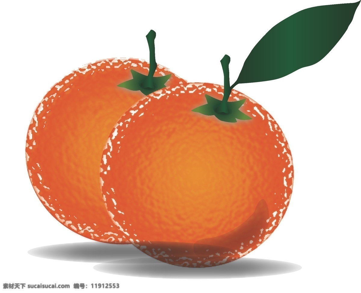 带 叶子 成熟 黄色 水果 橙子 手绘 矢量 橘子 黄色的水果 金色的水果 水果素材 新鲜水果