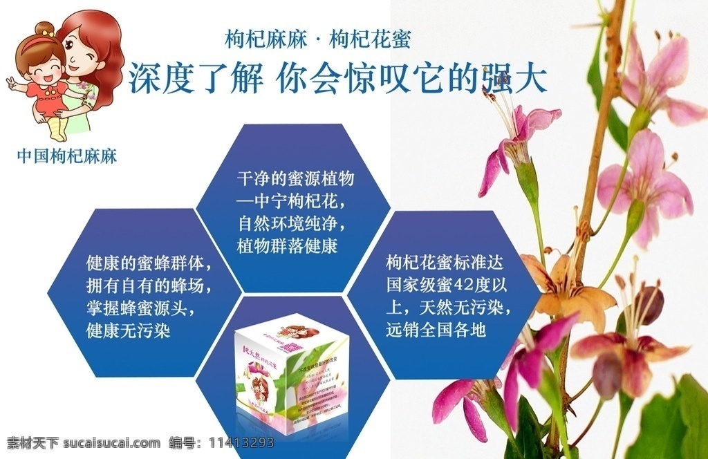 中国 枸杞 蜜 宣传 中国枸杞麻麻 天杞百瑞 枸杞蜜 枸杞花 宁夏中宁 原生态 纯天然