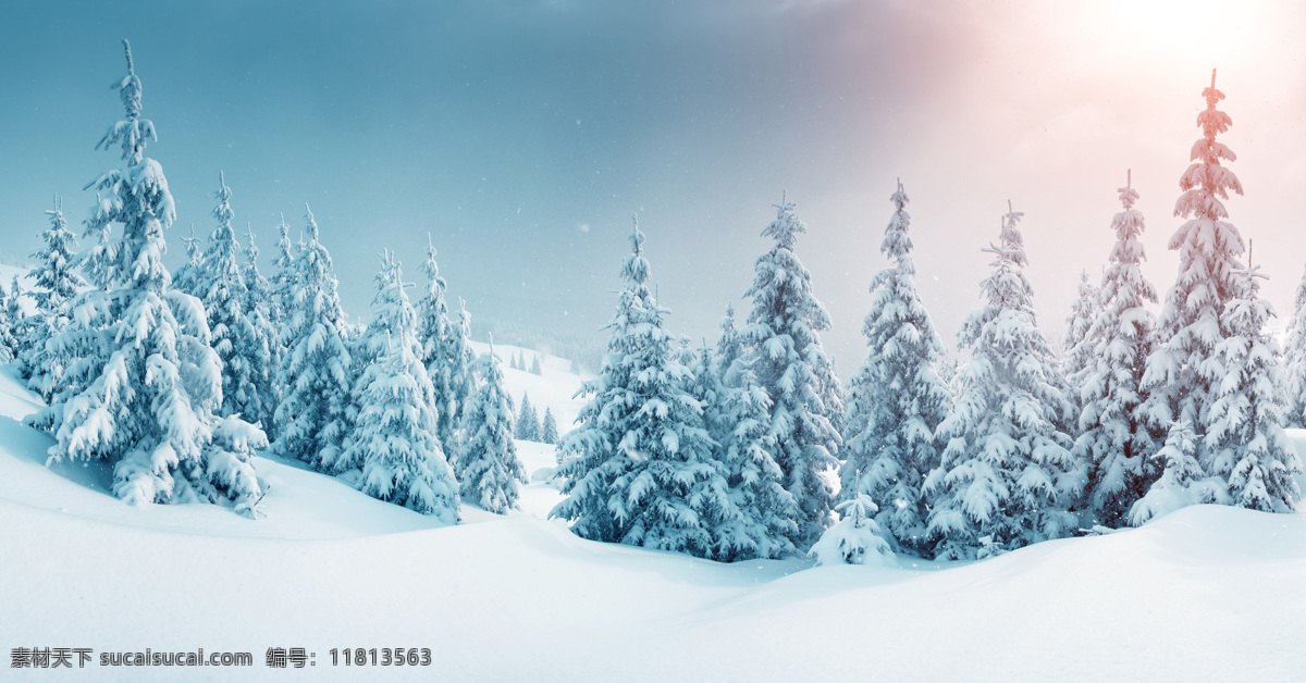 冬天 雪景 冬季 美景 雪地 白雪 森林 高山 雪山 雾凇 自然 风景 唯美 阳光 美丽自然 自然景观 自然风景