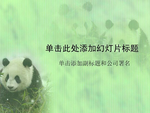 可爱 大熊猫 精美 模板 动物 封面
