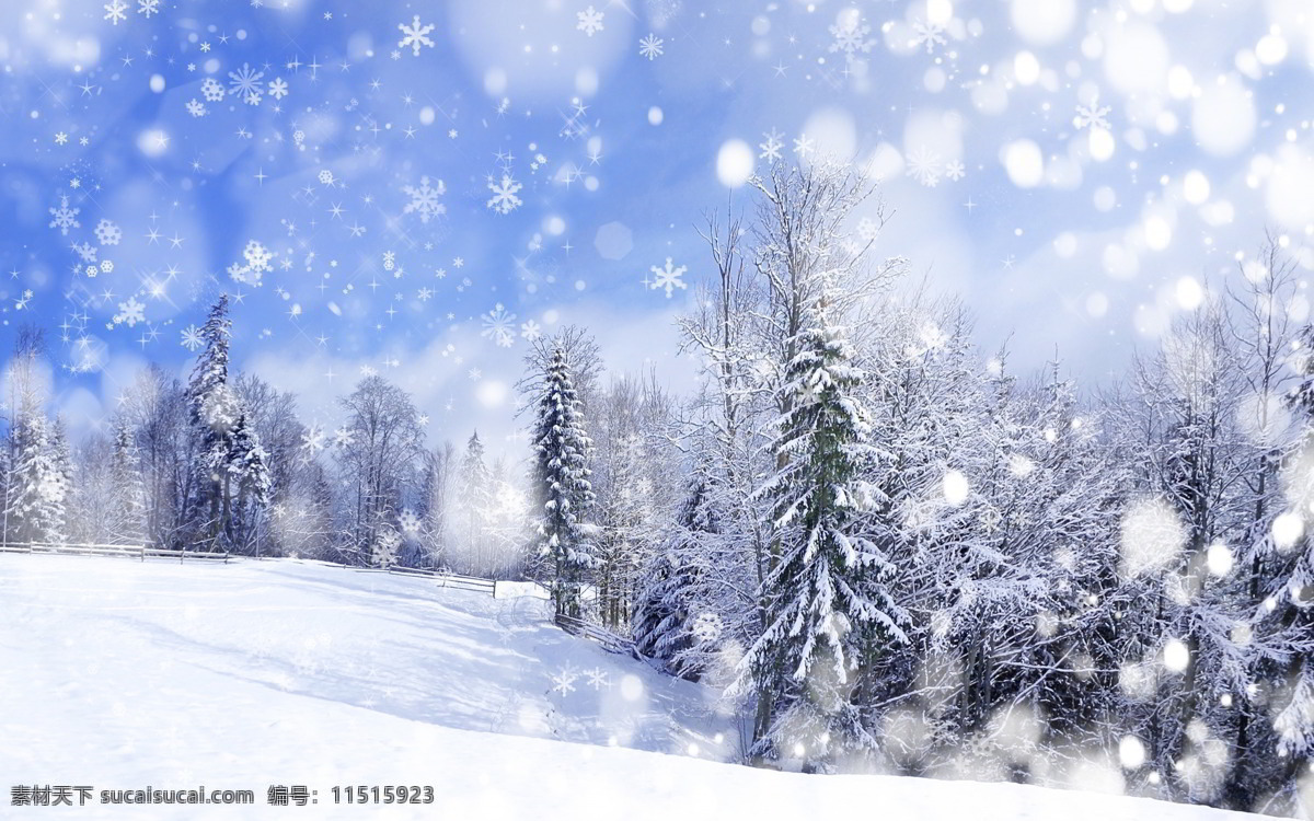 雪中森林 下雪 雪中 大雪 雪花 森林 场景 自然景观 自然风景