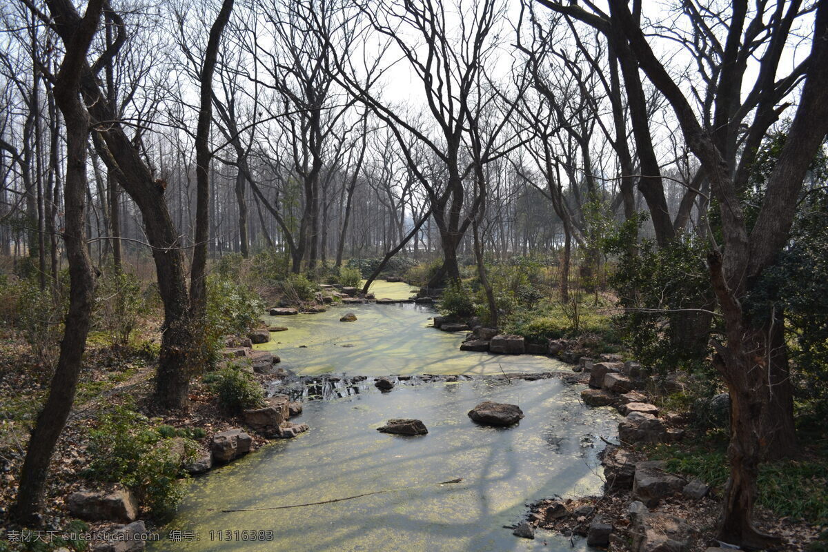 金陵晨光 金陵 晨光 紫金山 流水 山间 国内旅游 旅游摄影