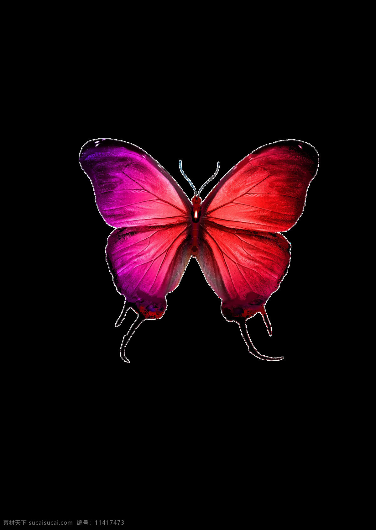 彩色 艳丽 蝴蝶 透明 透明素材 装饰 设计素材 淘宝素材 海报设计装饰 装饰图案