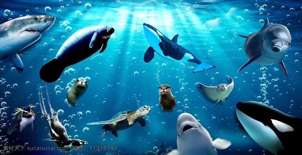 海底 世界 高清 分层 海底世界 鲨鱼 海豹 海狮 海豚 海鱼 蓝鲸 光线 蓝色 漂亮 动物 水底 深海 源文件