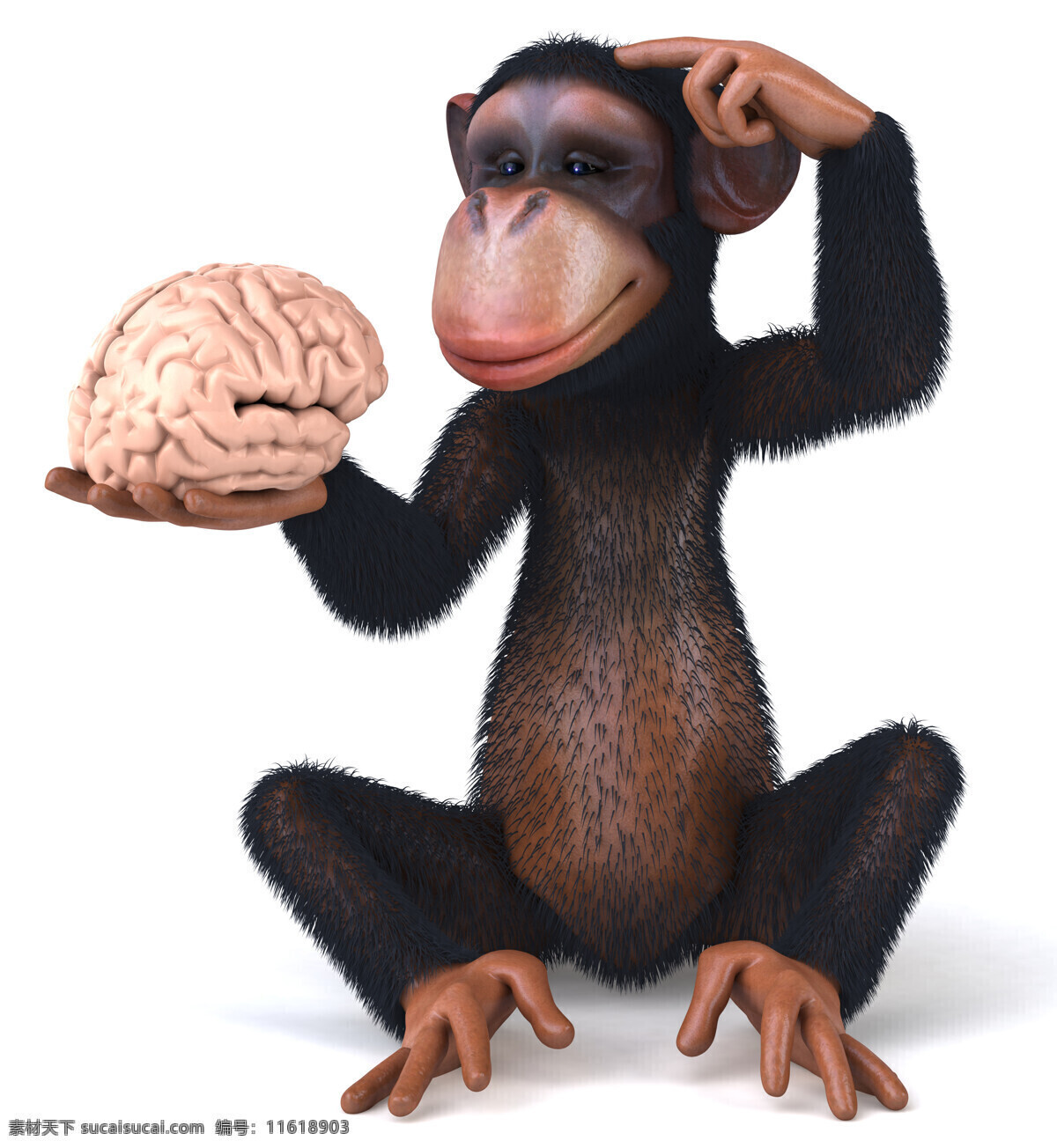 摸 脑子 黑猩猩 卡通 角色 动漫 动画 3d 卡通动物 生物世界