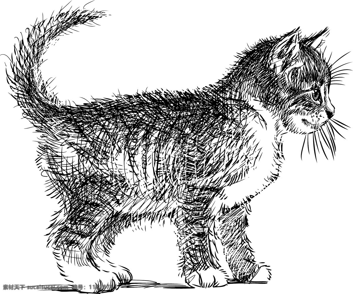 手绘 猫咪 矢量 动物 创意设计 矢量图