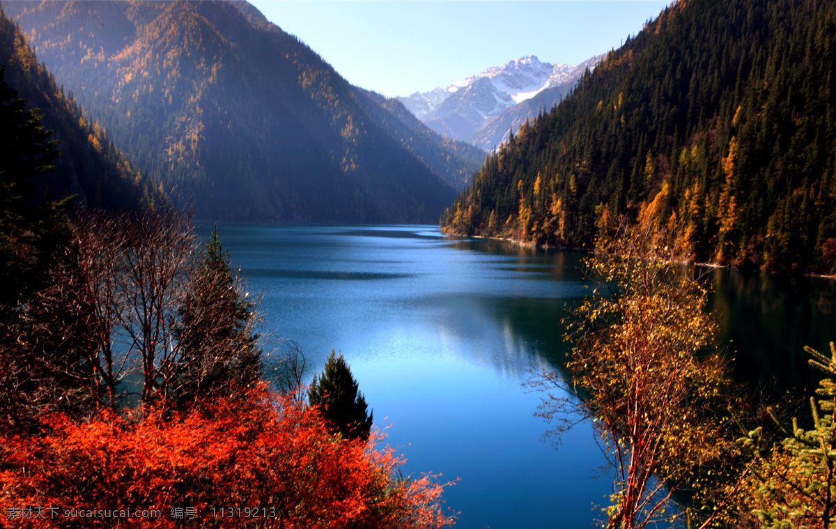 自然景观 秋景 秋天 风景 秋高气爽 树木 黄叶 树林 蓝天 树木树叶 生物世界 红叶 自然风景 美景 高清景色 湖景 秋天景色 桂林山水 山水风景