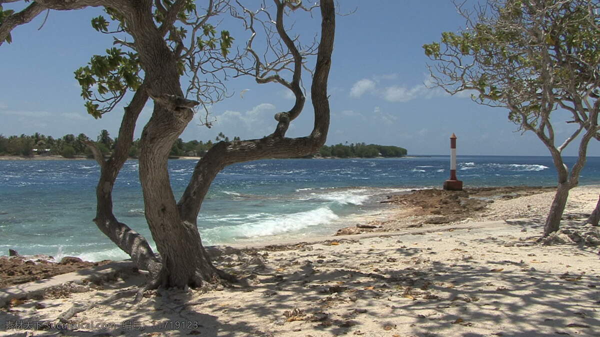 伊罗 入口 树木 股票 视频 海岸 海滩 海洋 碰撞 声音 树 太平洋 岩石 法属波利尼西亚 热带 环礁 朗 阿诺 水 波 湿 微风 打破 其他视频