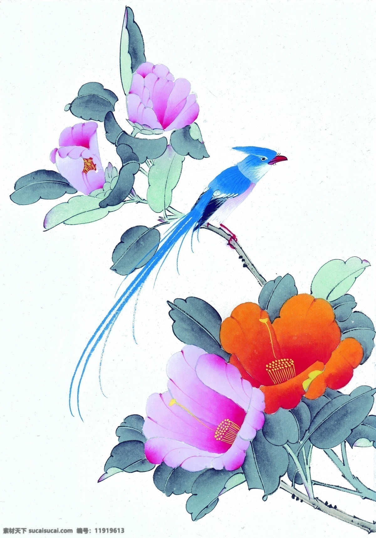 彩色 绘画 图 花儿 牡丹 小鸟 文化艺术