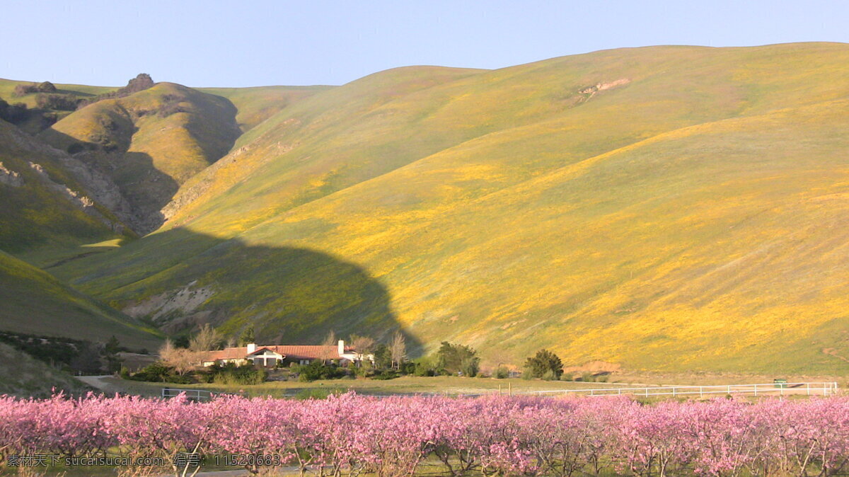 美丽 高原 风景 美丽高原风景 美丽风景 桃花 美景 美丽景色 自然风光 风景摄影 其他风光 风景图片