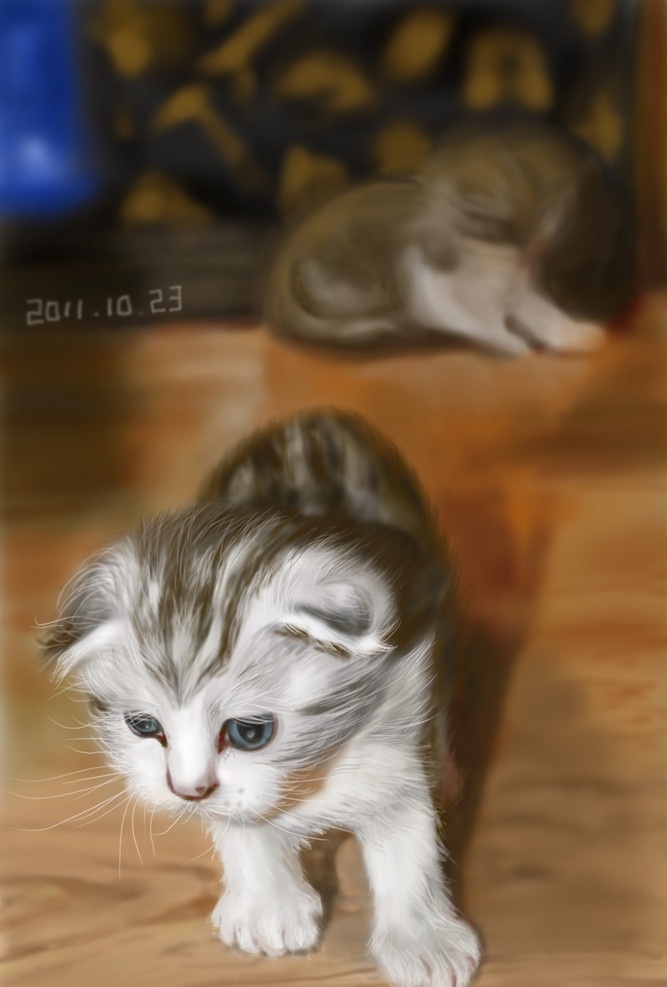 手绘 猫 电脑绘画 动物 绘画 绘画书法 文化艺术