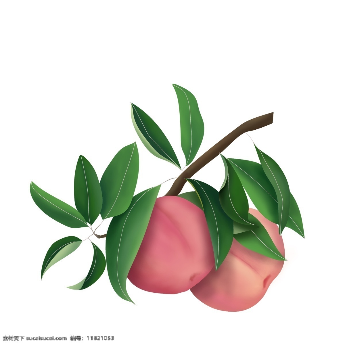 彩绘 红桃 绿叶 元素 桃子 水果 设计元素 元素设计 手绘元素 psd元素 免抠元素