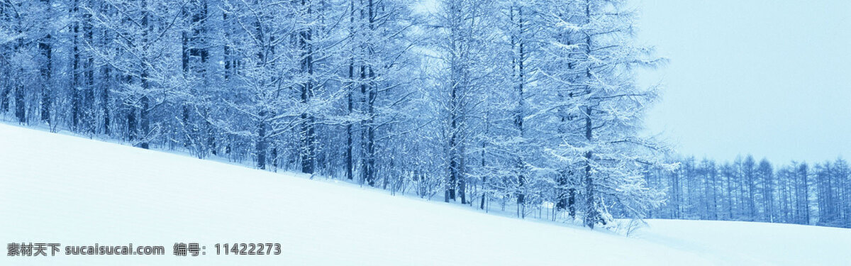 雪景 海报 背景 54 背景素材 淘宝 天猫 1920 全 屏 全屏背景 淘宝背景 天猫背景 冬季 树木 下雪 雪 冰雪景色 自然风景 白色