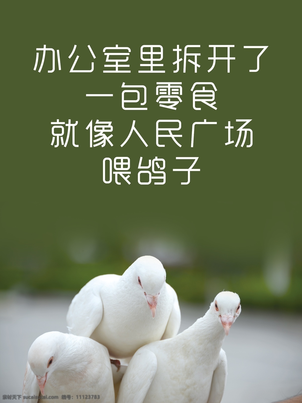 厕所搞笑挂牌 搞笑创意海报 创意 搞笑 洗手间 文明如厕 饭店用 厕所 挂牌 室内广告设计