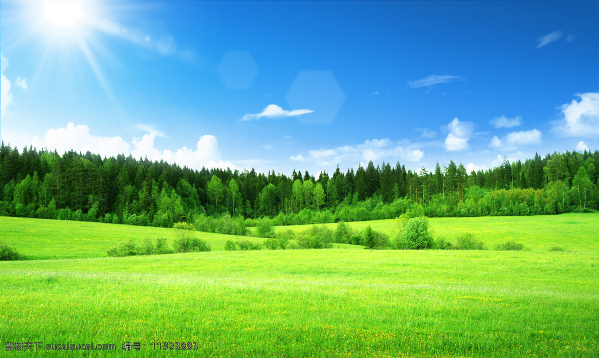 草原 草地 蓝天 白云 阳光 自然景观 自然风景