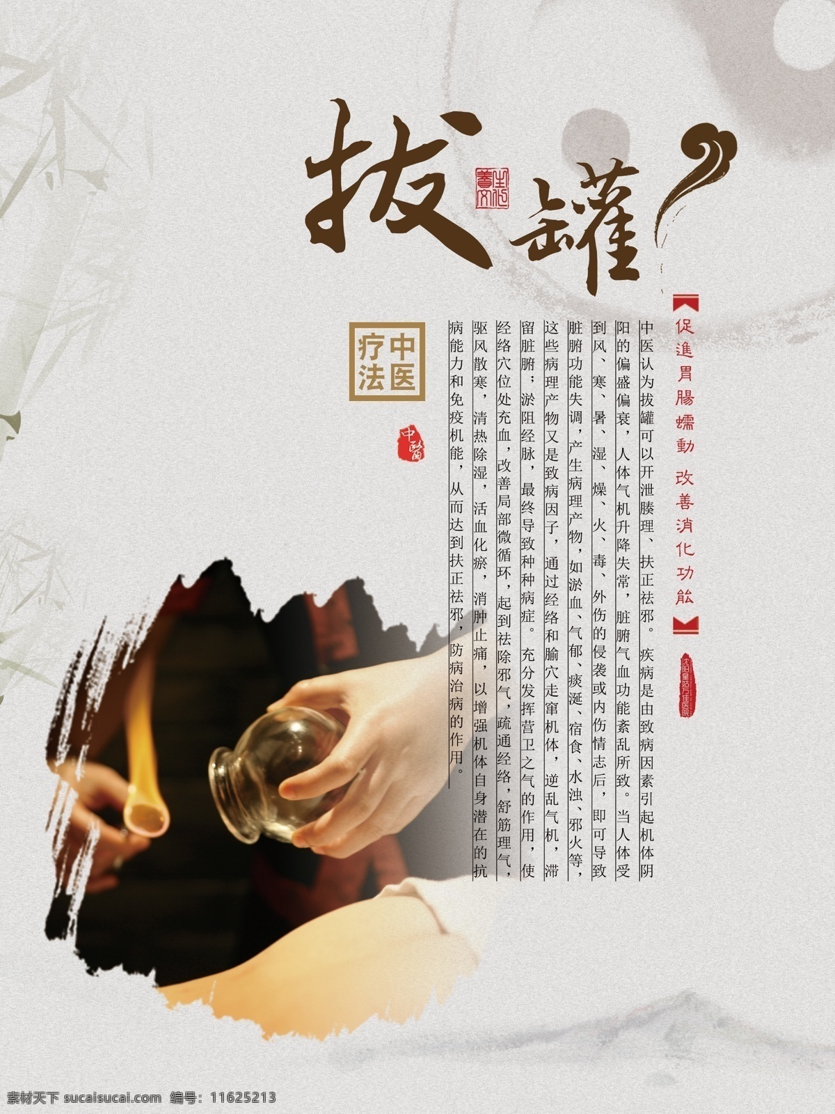 中医养生拔罐 中医养生 拔罐 中医疗法 中医 扶正祛邪
