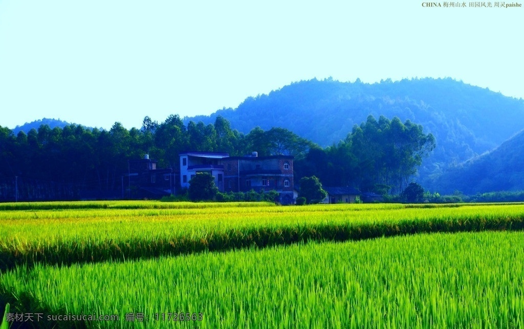 乡村 田园风光 广东 梅州 长沙镇 罗衣 稻田 水稻 山岚 民房 树木 天空 乡村田园风光 自然景观