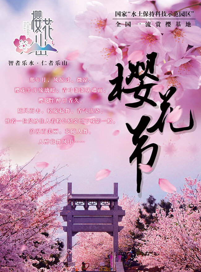 中国 樱花 山 宣传卡 樱花山 粉色