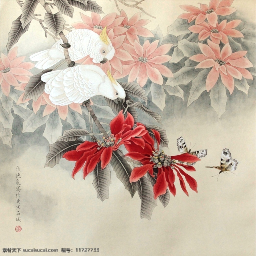 白鹦鹉 鹦鹉 蝴蝶 国画 花鸟画 工笔画 张德泉 绘画书法 文化艺术