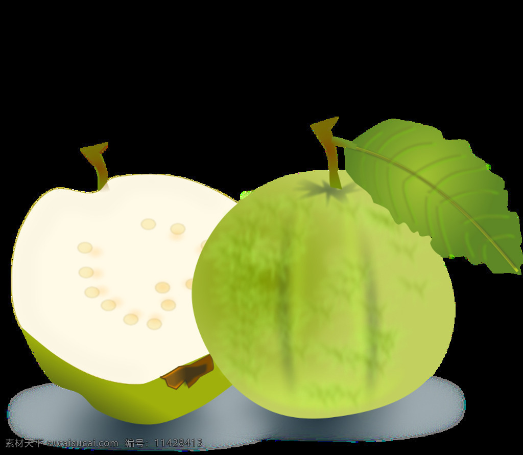 番石榴 健康食品 绿色水果 新鲜水果 绿苹果番石榴 桃金娘 天然食品 素食主义者 插画集