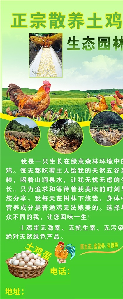 乡村 土鸡 养殖 门 型 展架 天然 绿色 美味 室外广告设计