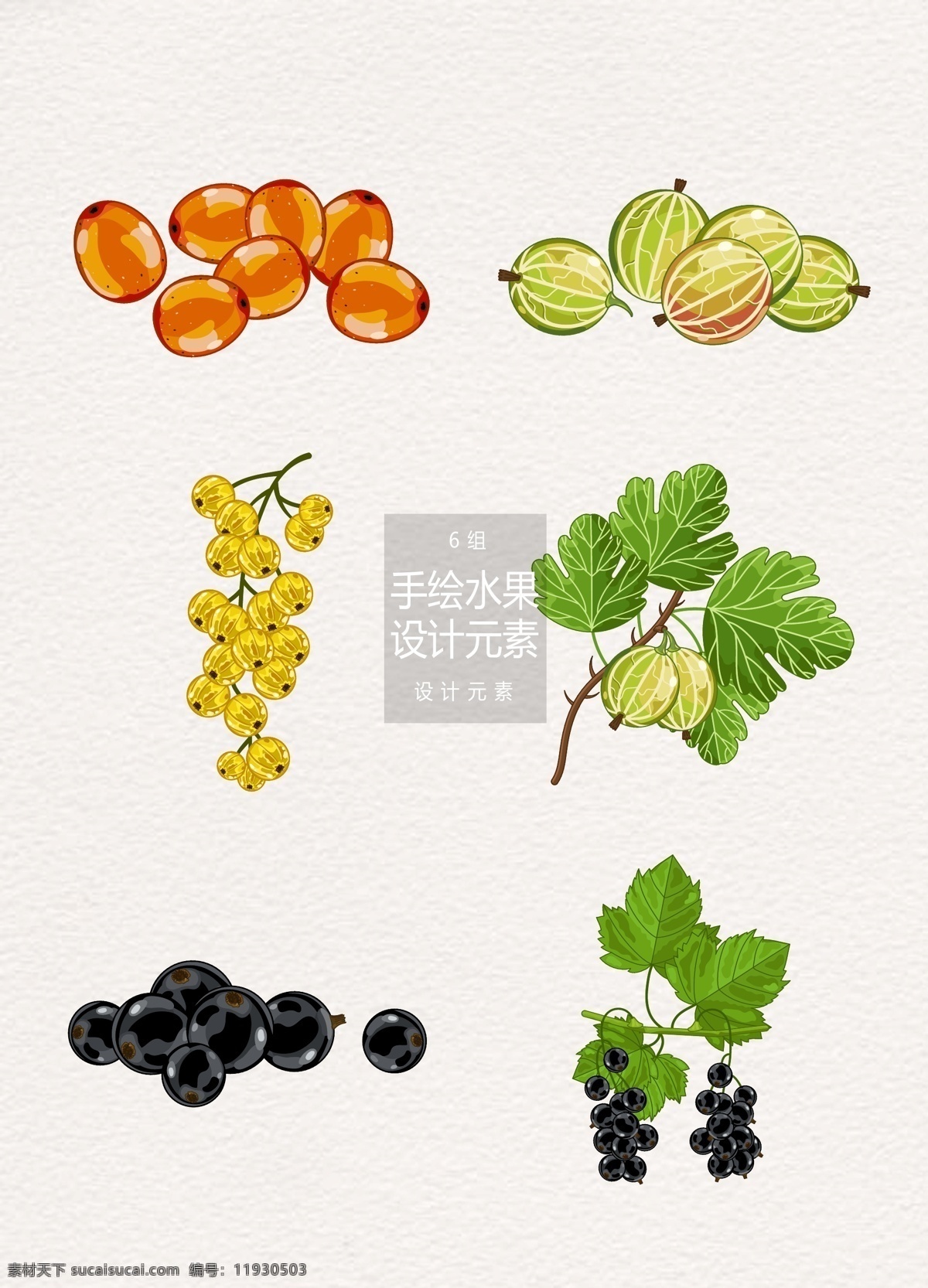 手绘 水果 插画 元素 设计元素 手绘水果 水果插画 矢量素材 蓝莓 野果