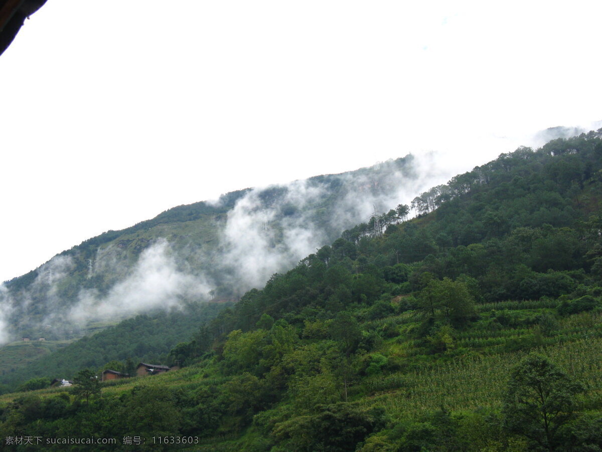 2008 滇 藏 骑 行 记 西藏 雪山 云海 云南 风景 生活 旅游餐饮