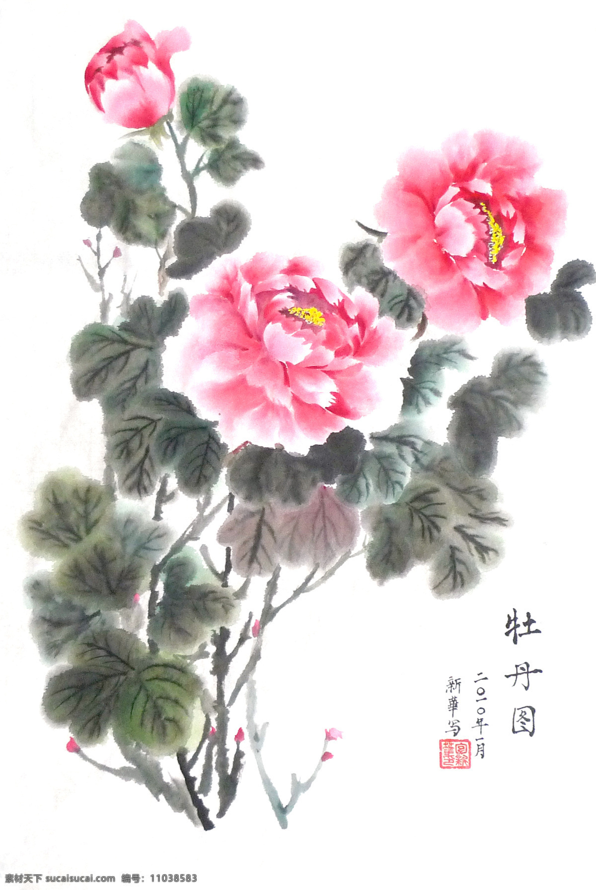 国画 牡丹 水墨画 中国画 中国艺术 绘画艺术 装饰画 中堂画 书画 文化艺术 书画文字